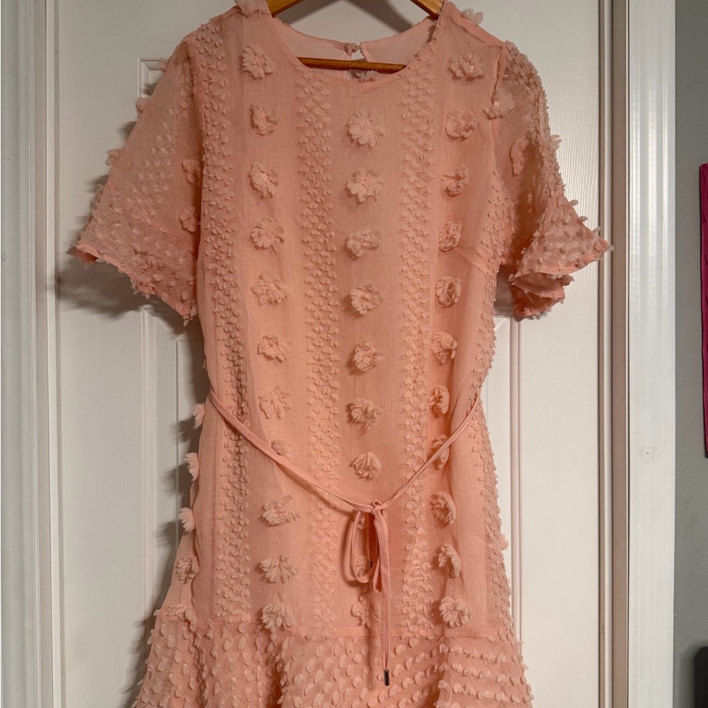 Textured Peach Mini Dress with Tie Waist